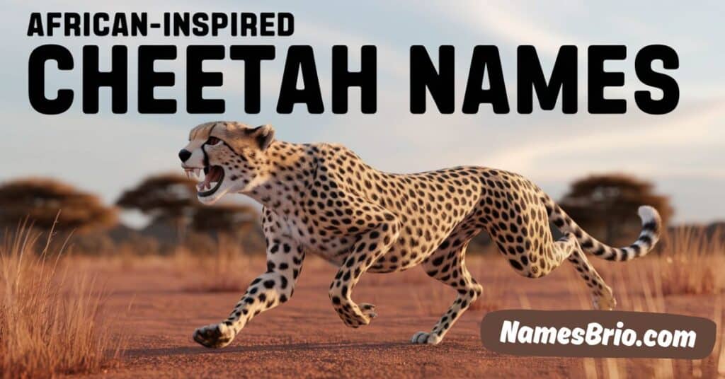 African-Inspired Cheetah Names