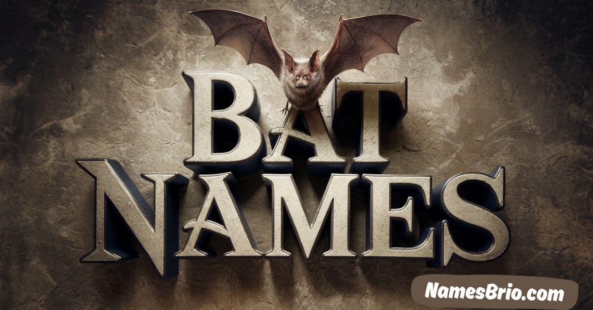 Bat Names