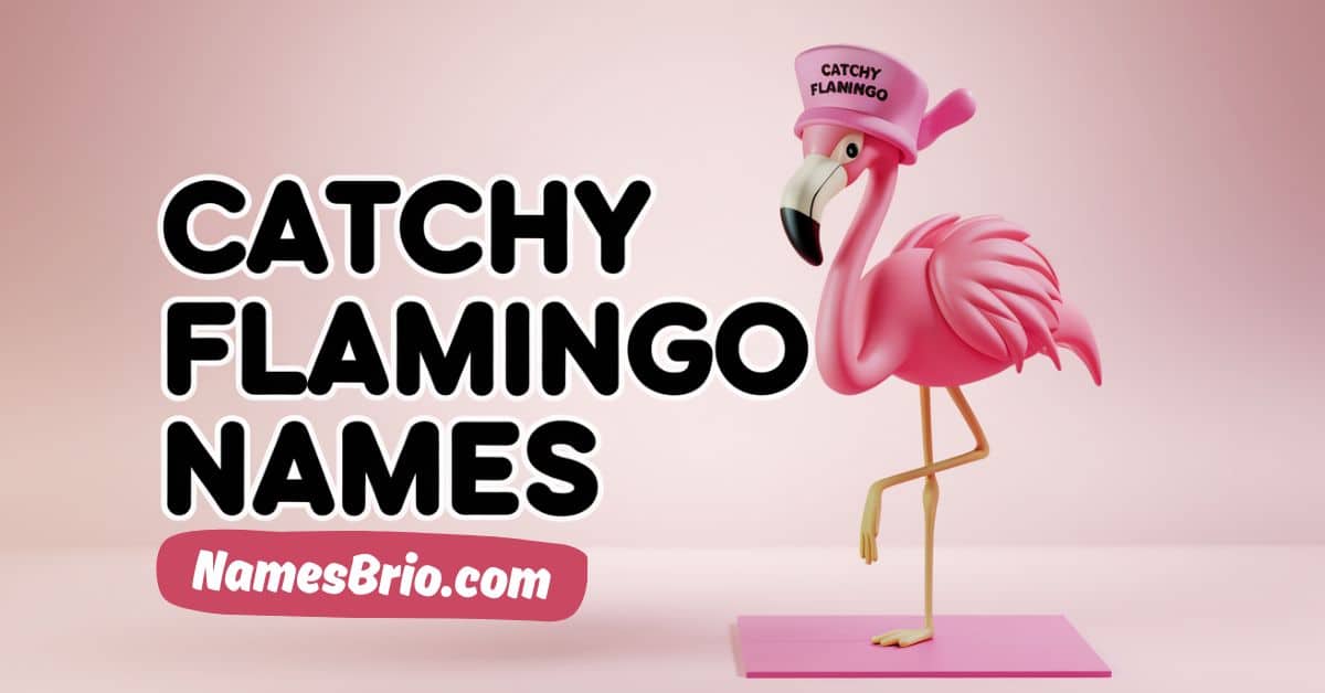 Catchy Flamingo Names