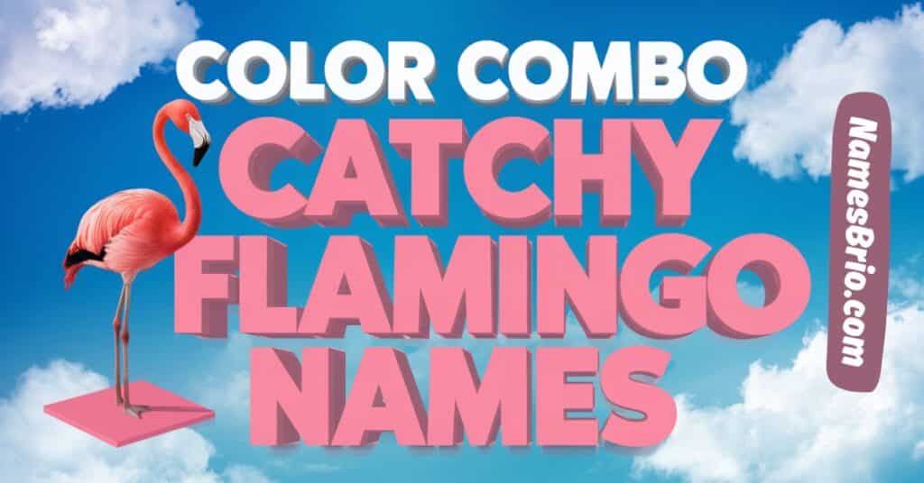 Color Combo Catchy Flamingo Names