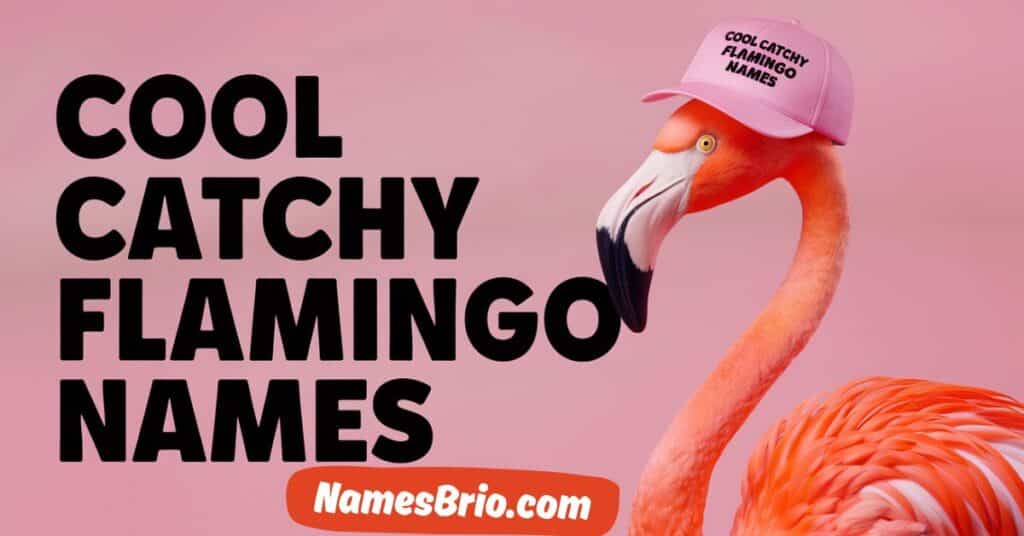 Cool Catchy Flamingo Names