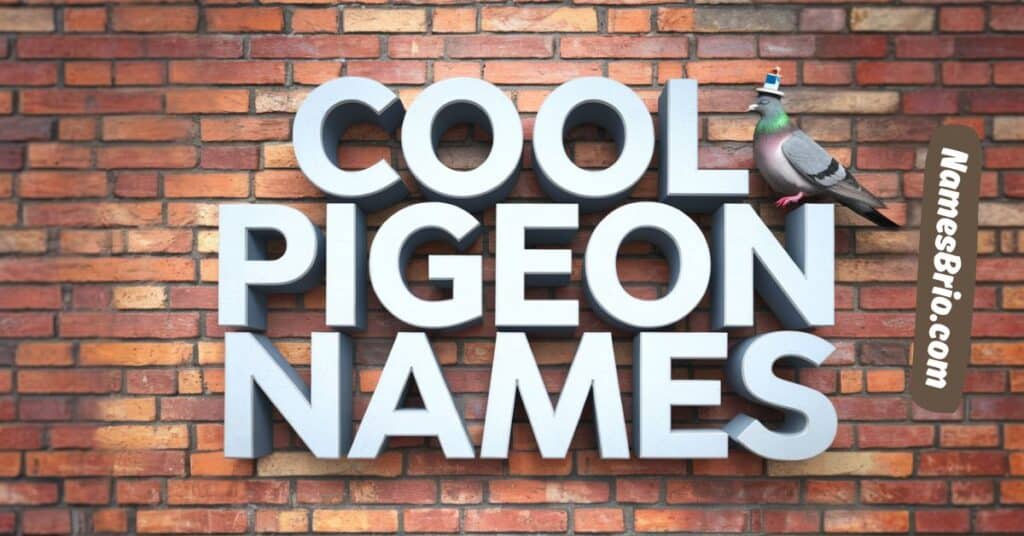 Cool Pigeon Names