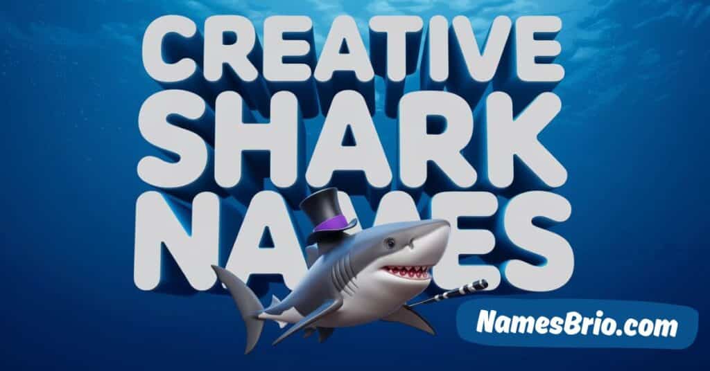 Creative Shark Names