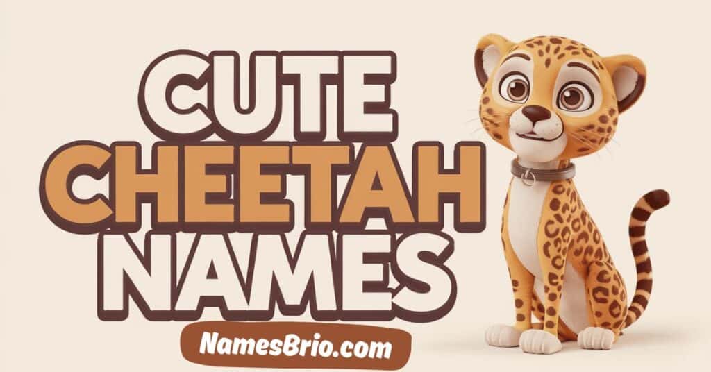 Cute Cheetah Names