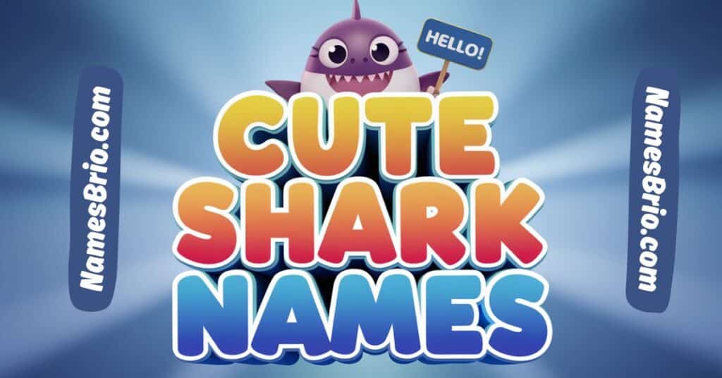 Cute Shark Names