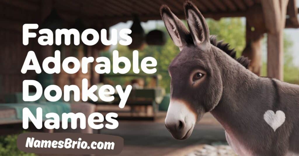 Famous Adorable Donkey Names