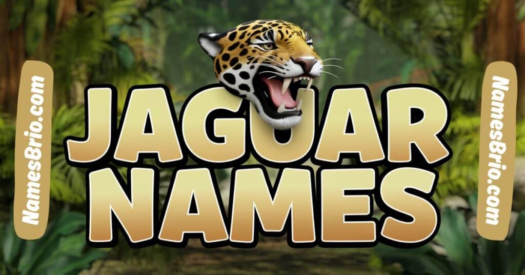 Best Jaguar Names