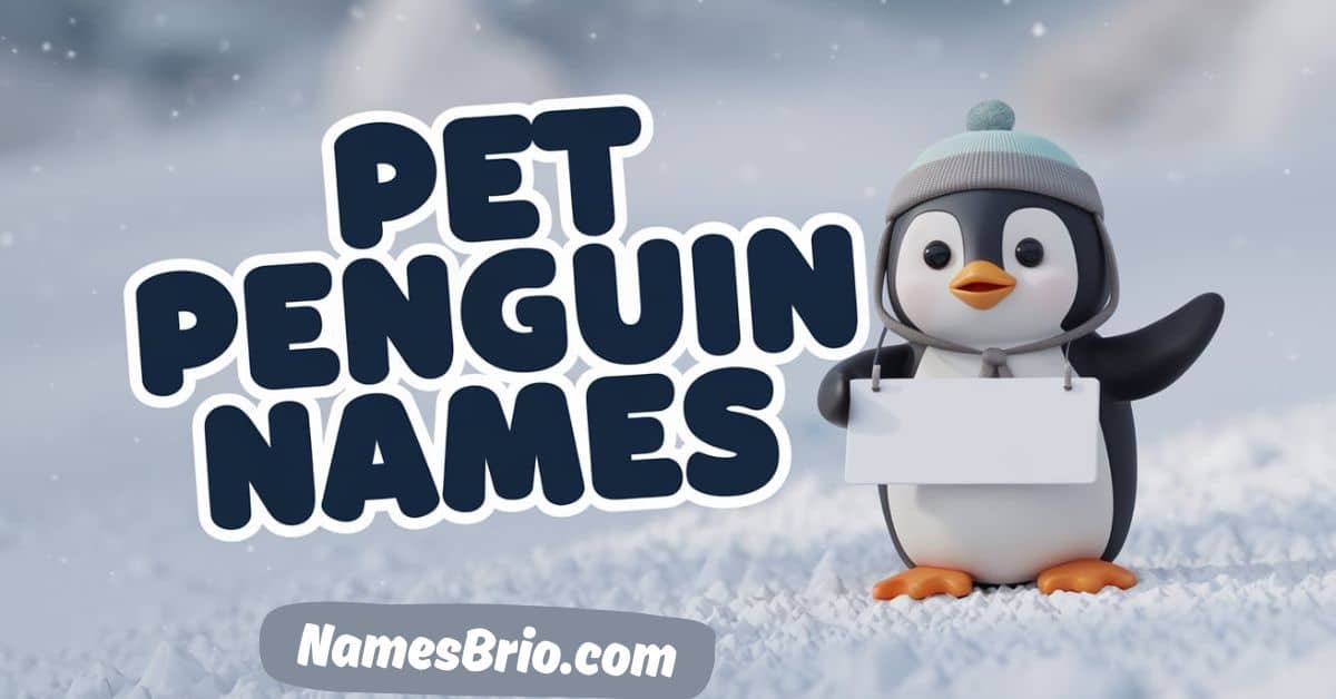 Pet Penguin Names