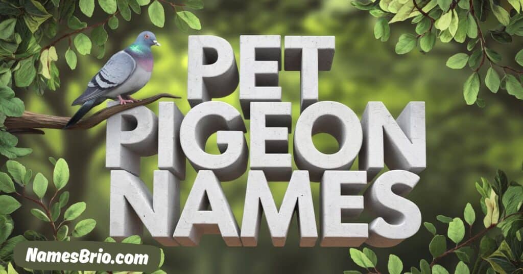 Pet Pigeon Names