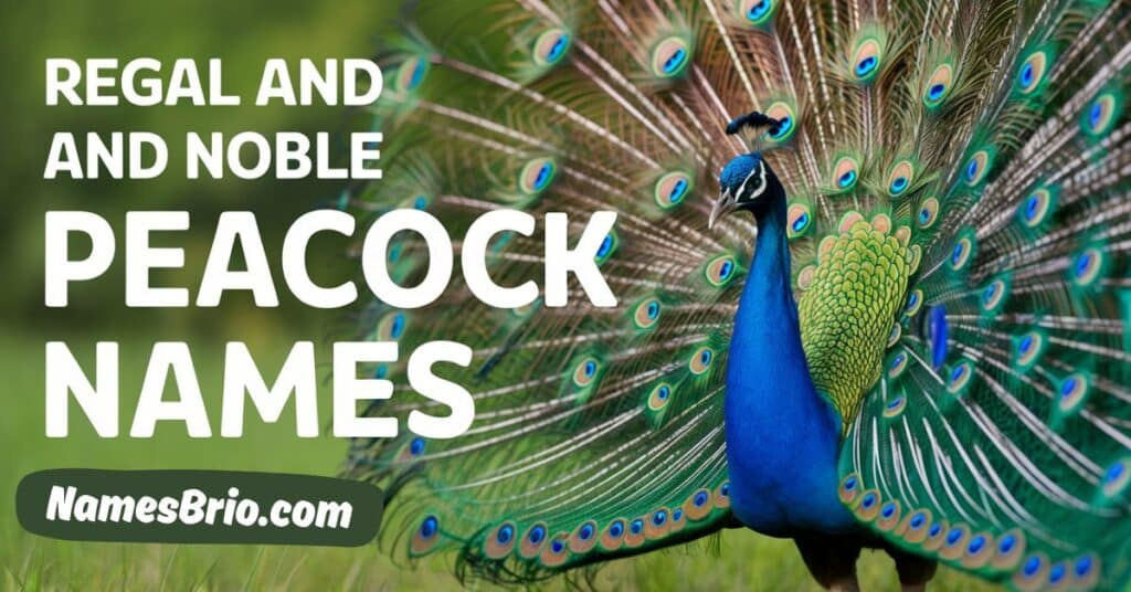 Regal and Noble Peacock Names