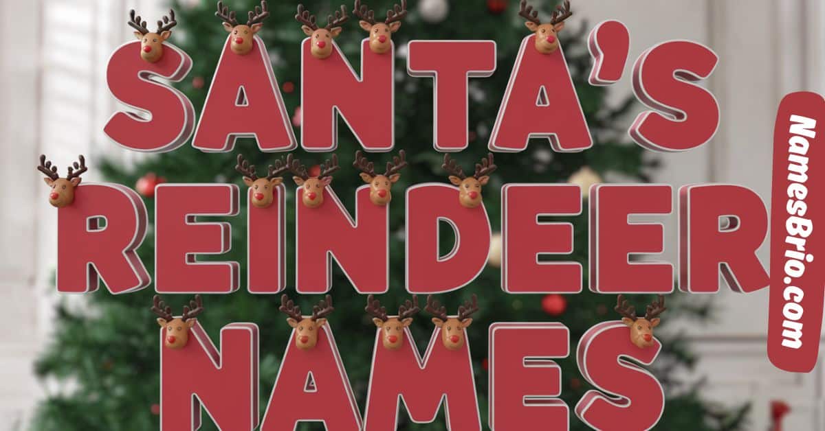 Santa's Reindeer Names