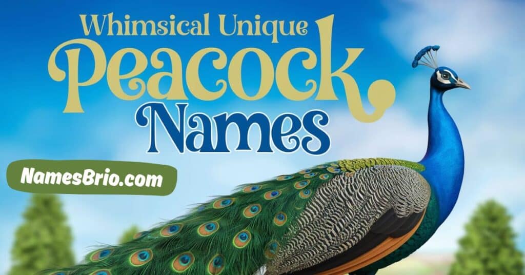 Whimsical Unique Peacock Names