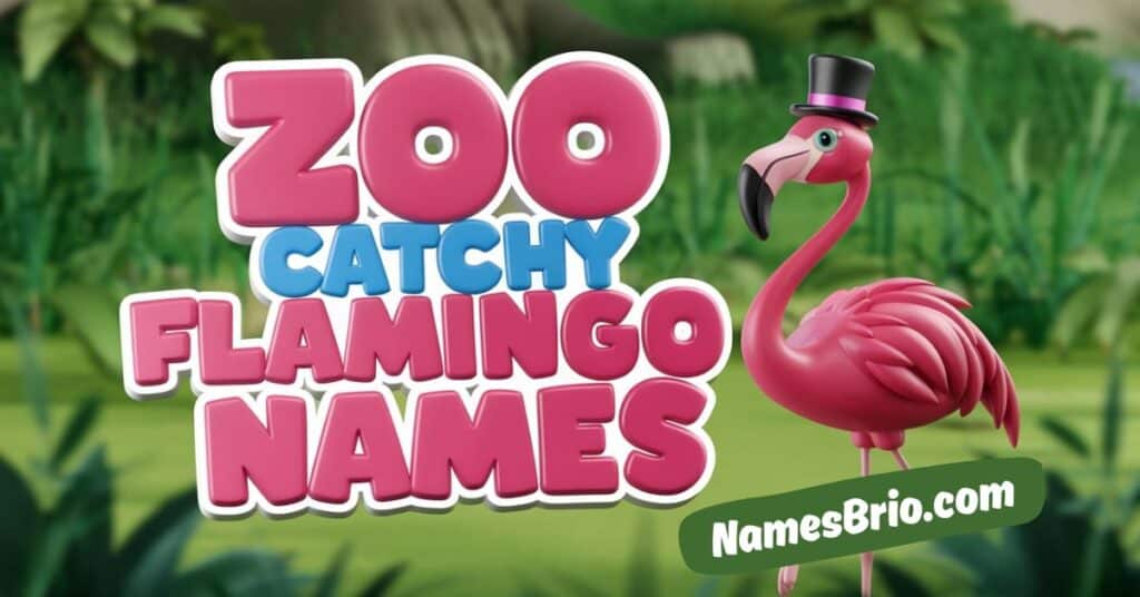 Zoo Catchy Flamingo Names