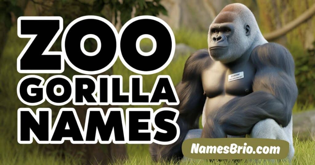 Zoo Gorilla Names