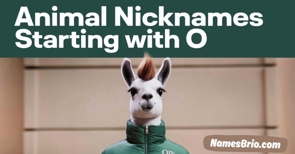 Animal Nicknames Starting with O