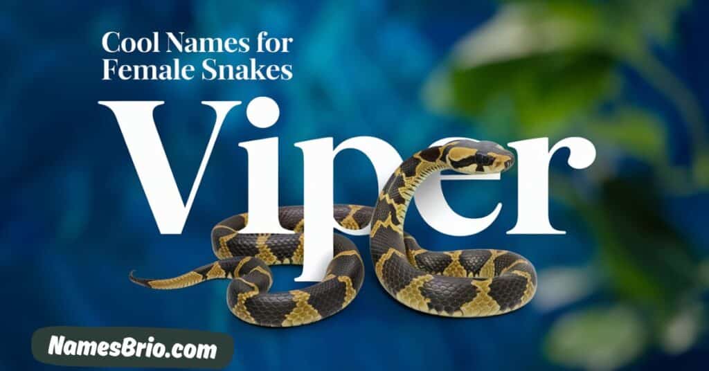 Cool Names for Female Snakes