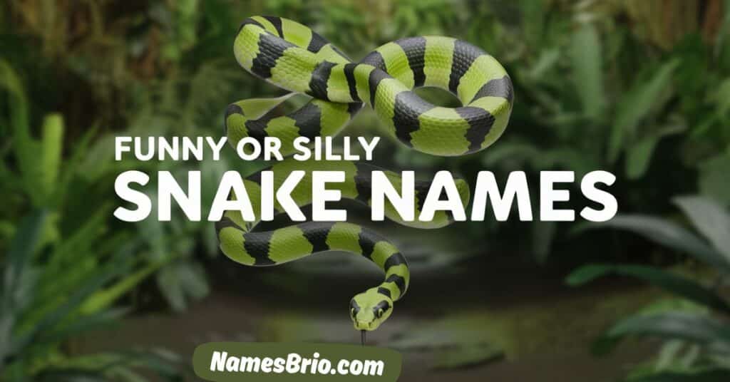 Funny or Silly Snake Names