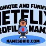 Unique and Funny Netflix Profile Names